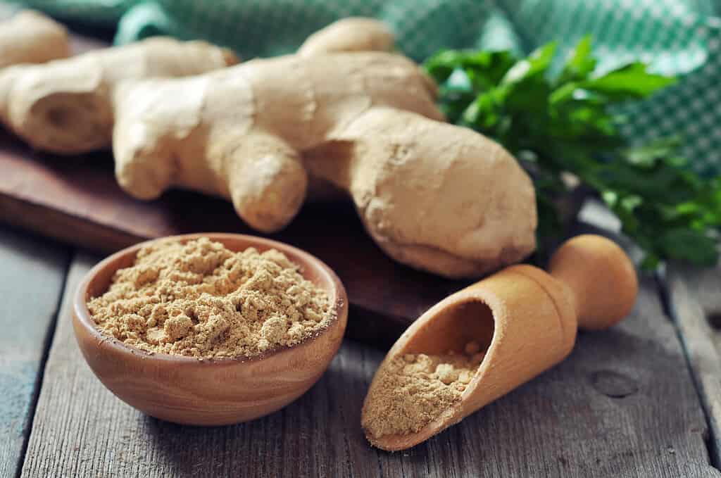 Zingiber officinale, o radice di zenzero e spezia di zenzero macinato su fondo di legno. 