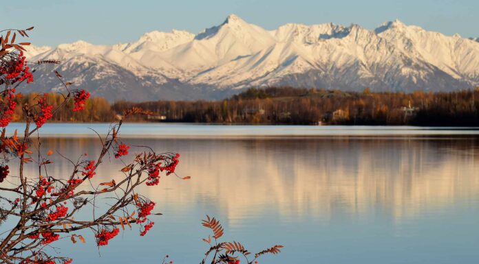 Gli 8 migliori laghi dell'Alaska per nuotare
