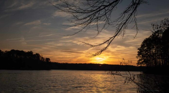 Scopri il lago più profondo nella contea di Shelby, TN
