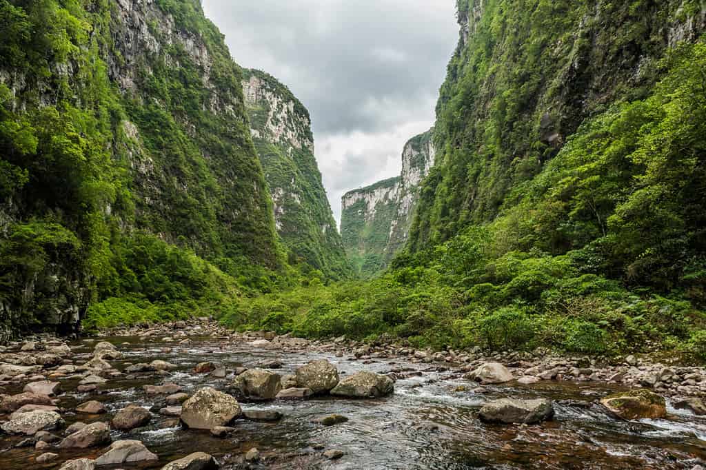 Escursioni attraverso la foresta pluviale atlantica all'interno del Canyon Itaimbezinho nel fiume Boi, Parco Nazionale Aparados da Serra, Cambara do Sul, Stato del Rio Grande do Sul, Brasile meridionale