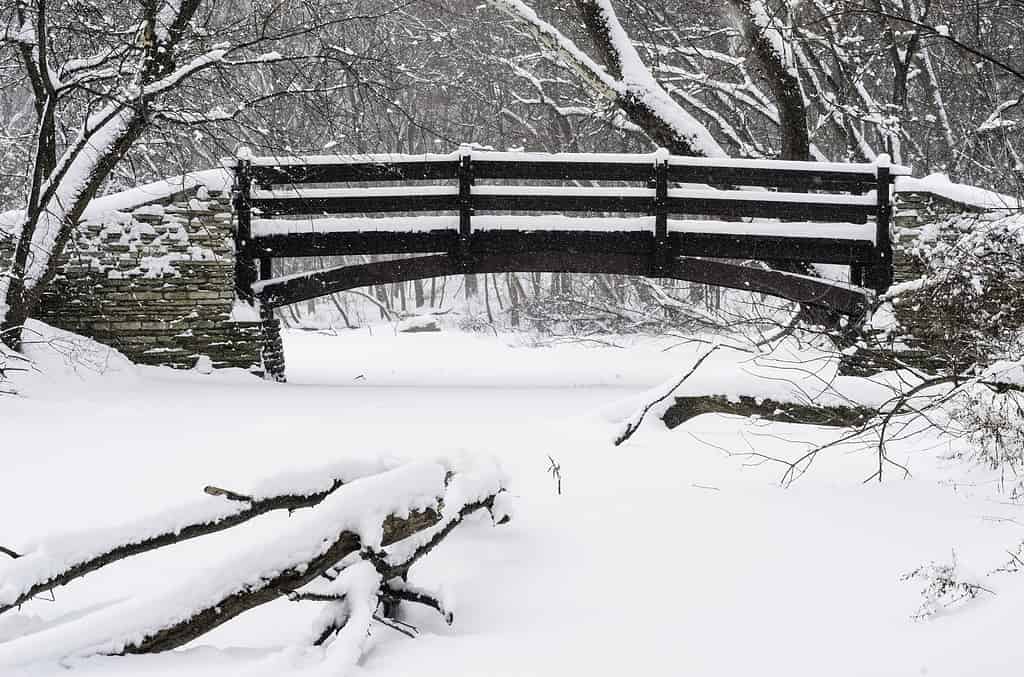 Attraversamento invernale nei boschi: passerella attraverso un ruscello coperto di neve in una tempesta di neve invernale, con un albero caduto in primo piano, nel nord dell'Illinois, USA