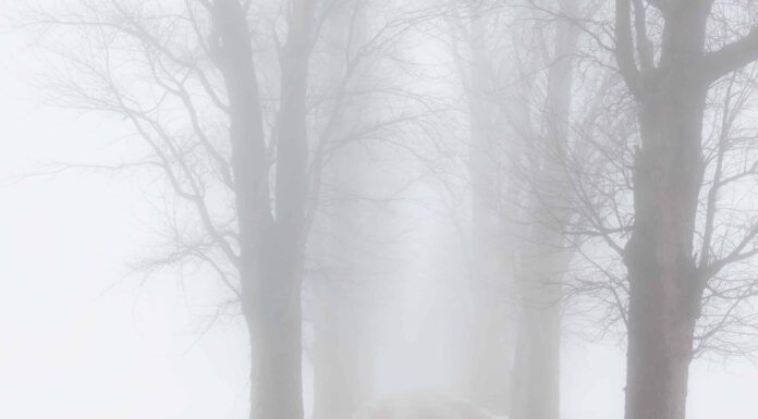 La più grande tempesta di neve di aprile nella storia dell'Illinois ti lascerà a bocca aperta
