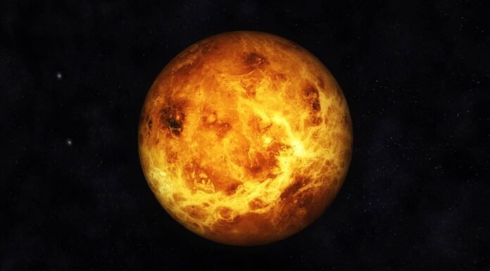  Quanto è grande Venere?  Massa, area superficiale e diametro
