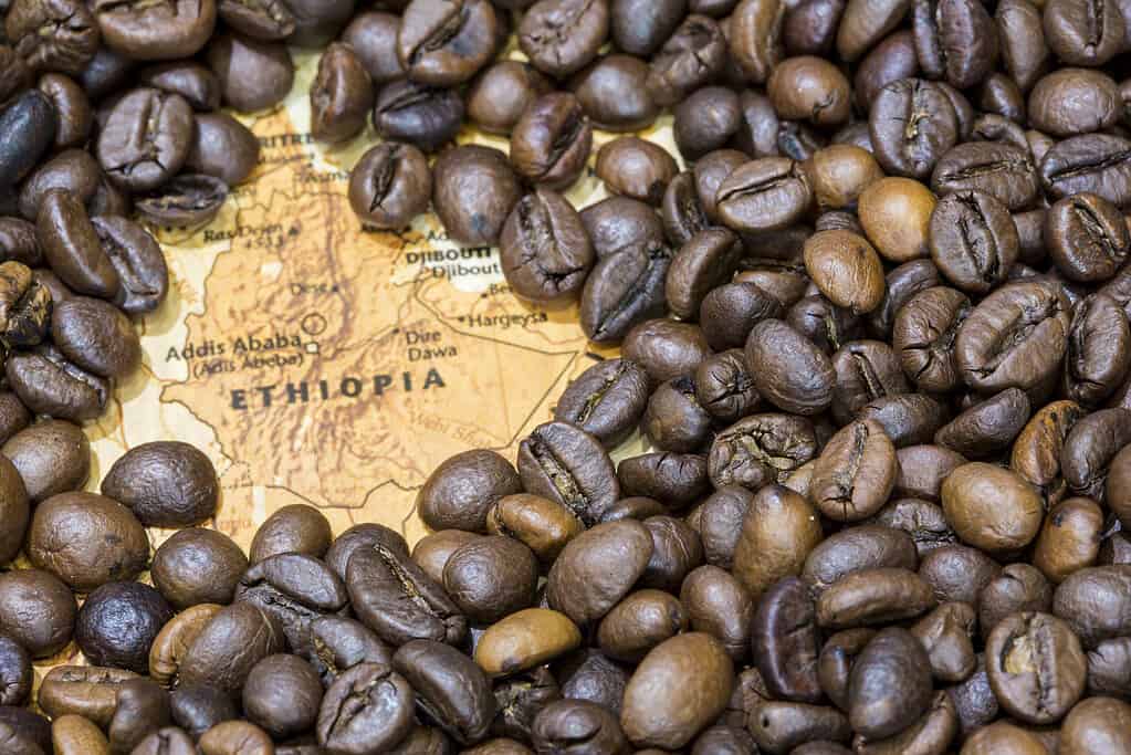 Jimma è uno dei principali produttori di caffè in Etiopia