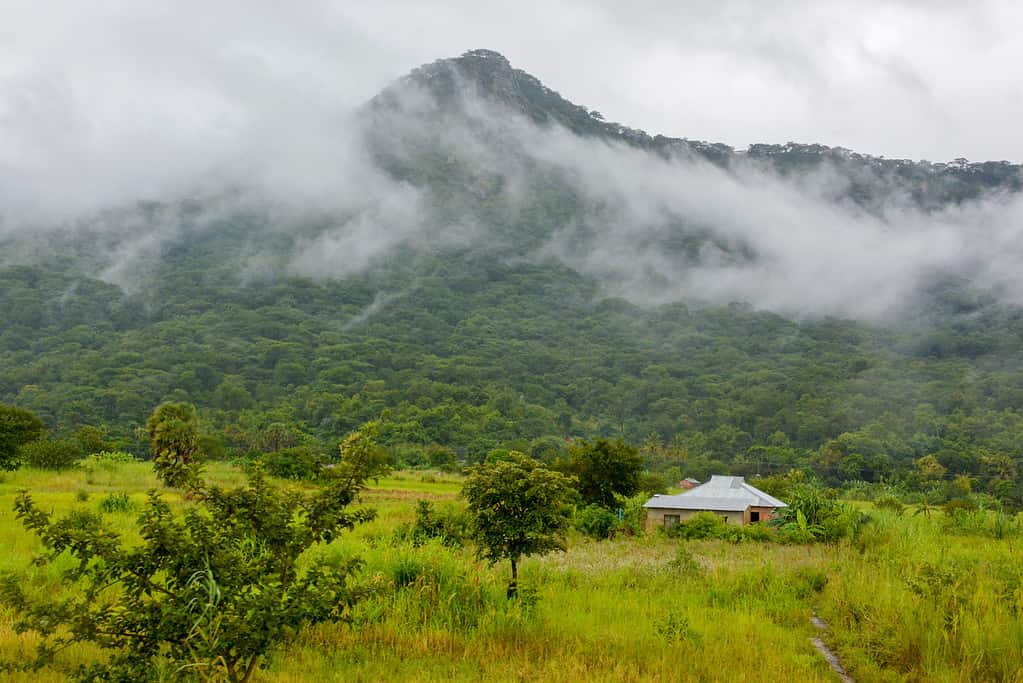 Mbeya Peak offre infinite opportunità da esplorare per i viaggiatori