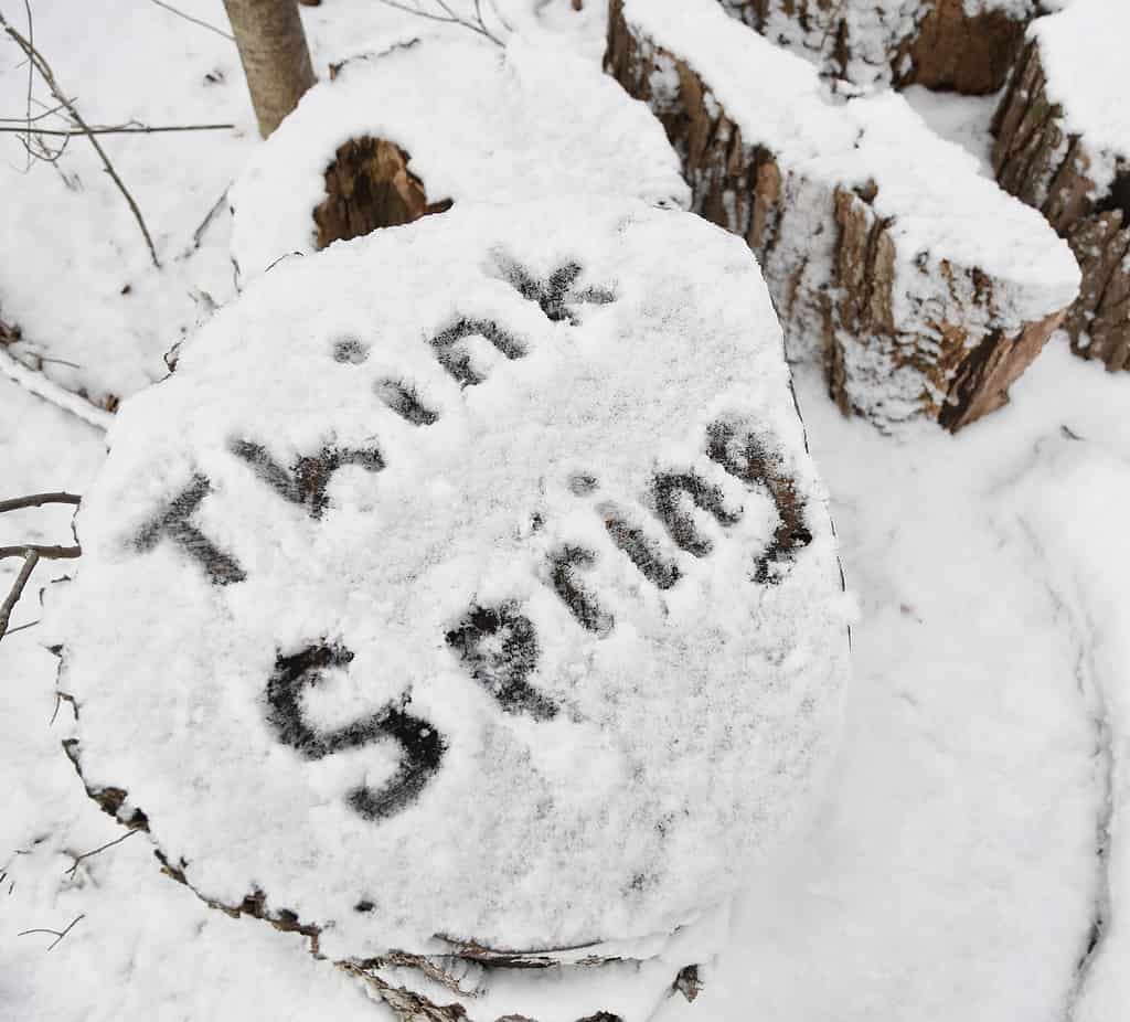 Le parole "pensa alla primavera" scritte nella neve fresca su un vecchio tronco nel New England dopo una nevicata a marzo.