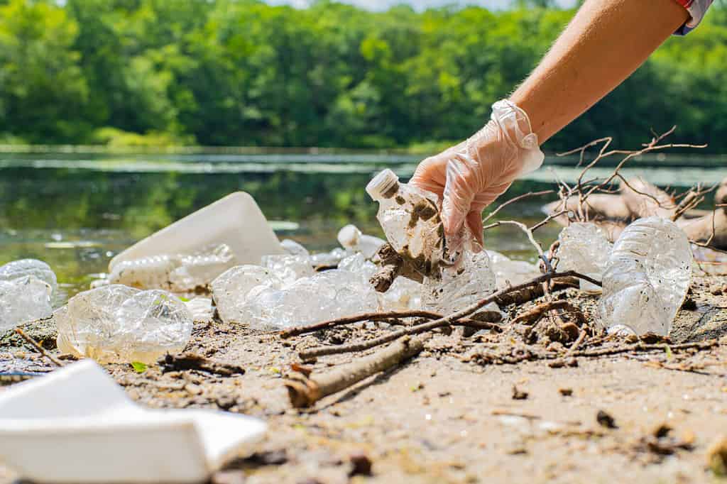 Volontari che puliscono immondizia vicino al fiume.  Donne che raccolgono una bottiglia di plastica nel lago, inquinamento e ambiente.  Concetto di ecologia