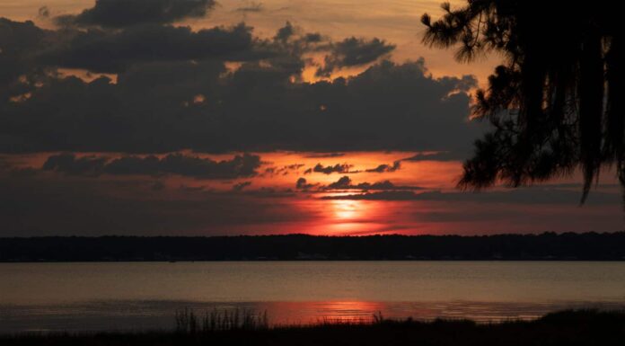 Scopri il lago artificiale più antico della Florida

