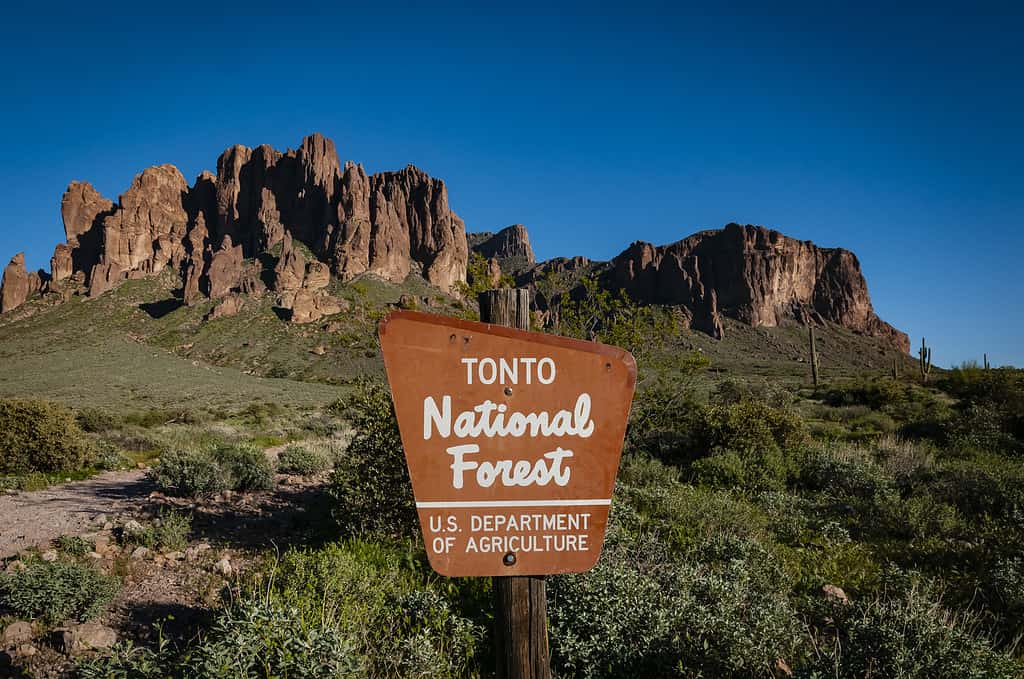 Tonto Basin, AZ si trova vicino alla foresta nazionale di Tonto