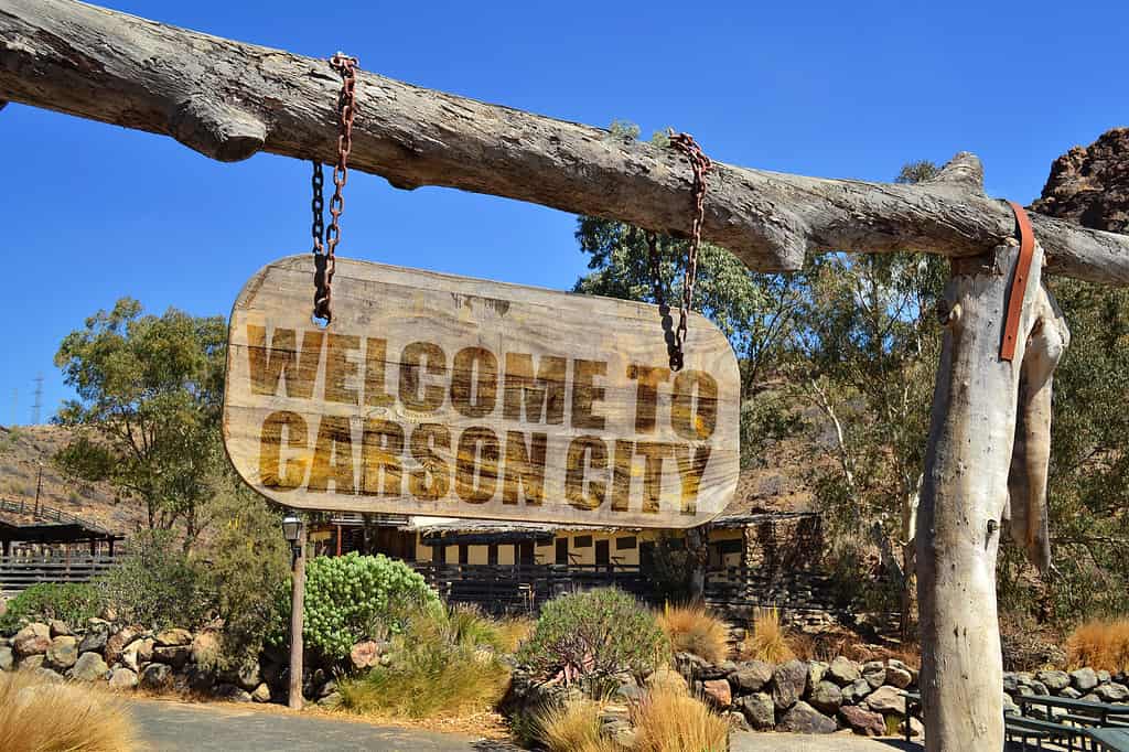 vecchia insegna in legno vintage con testo "benvenuto a Carson City" appesa a un ramo