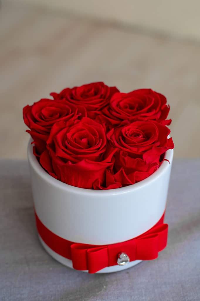 Un vaso di rose rosse stabilizzate, strettamente raggruppate. 