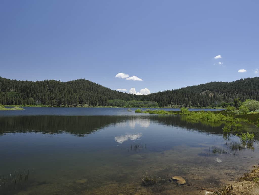 Lago Spooner, Nevada