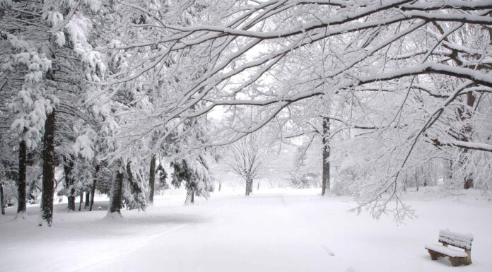 La più grande tempesta di neve di aprile nella storia del Connecticut ti lascerà a bocca aperta
