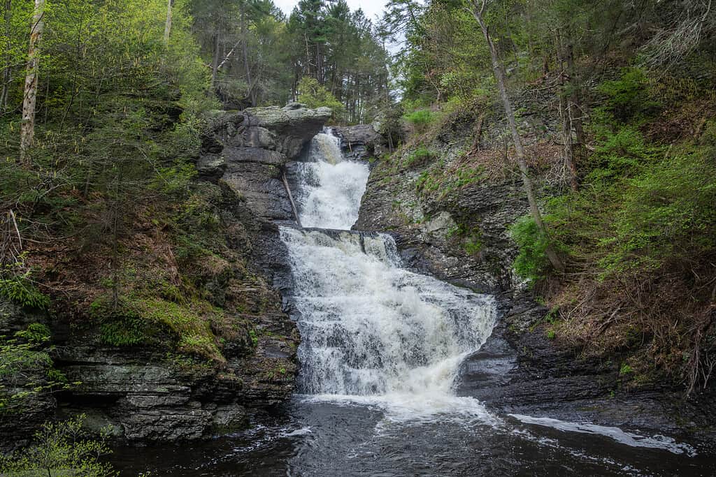 Livello intermedio delle Raymondskill Falls nella Delaware Water Gap National Recreation Area, Pennsylvania.  Le Raymondskill Falls a tre livelli, situate sul Raymondskill Creek, sono le cascate più alte della Pennsylvania.