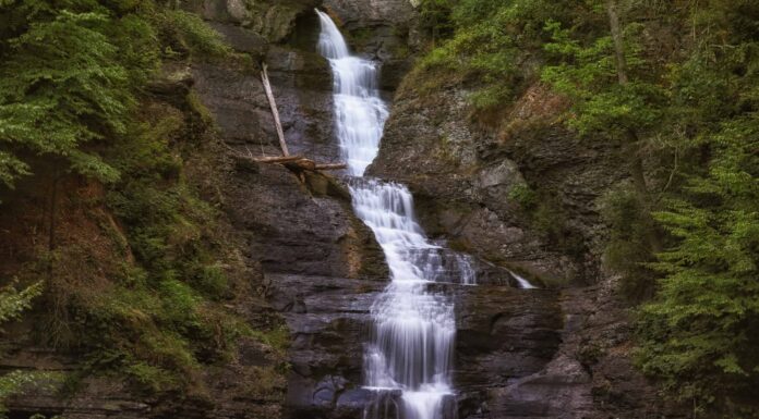 La cascata più alta della Pennsylvania è una delle migliori gemme nascoste dello stato di Keystone
