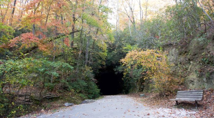 Il tunnel più lungo della Carolina del Sud sembra un'avventura sotterranea senza fine

