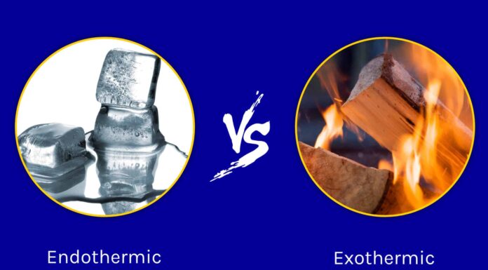 Reazioni endotermiche ed esotermiche: differenze chiave ed esempi
