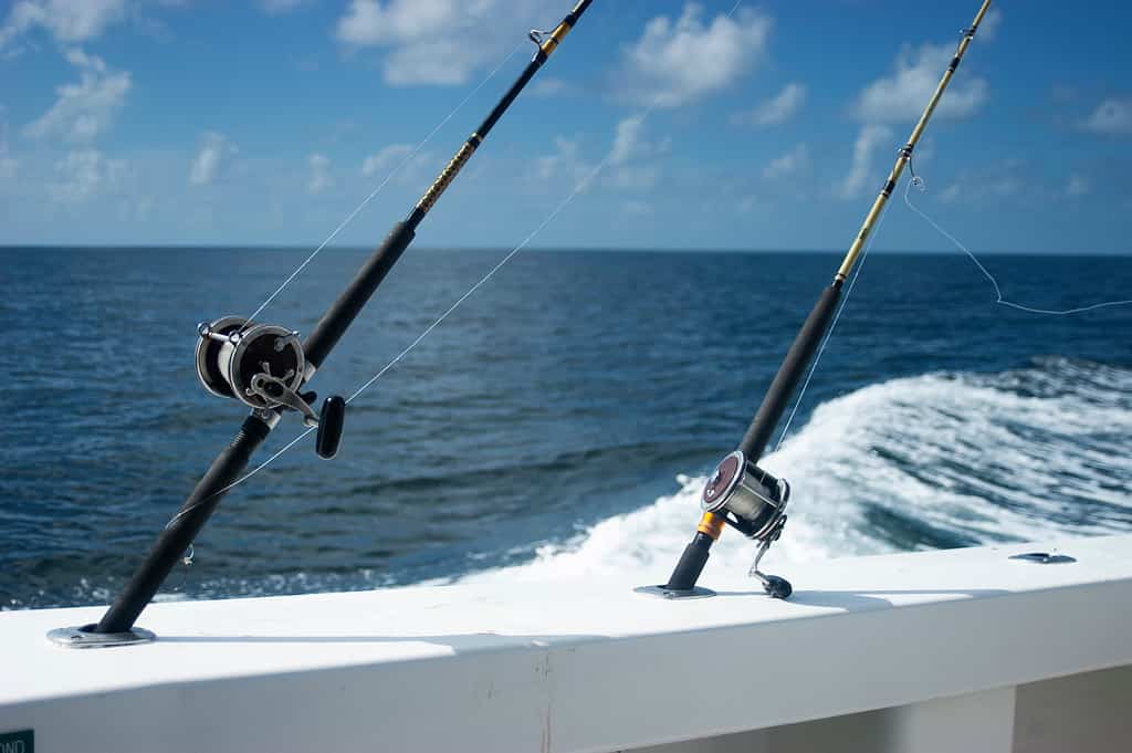 Canne e mulinelli da pesca d'altura che utilizzano i calamari come esche vive nel Golfo del Messico al largo di Orange Beach, in Alabama, durante la stagione dei dentici.