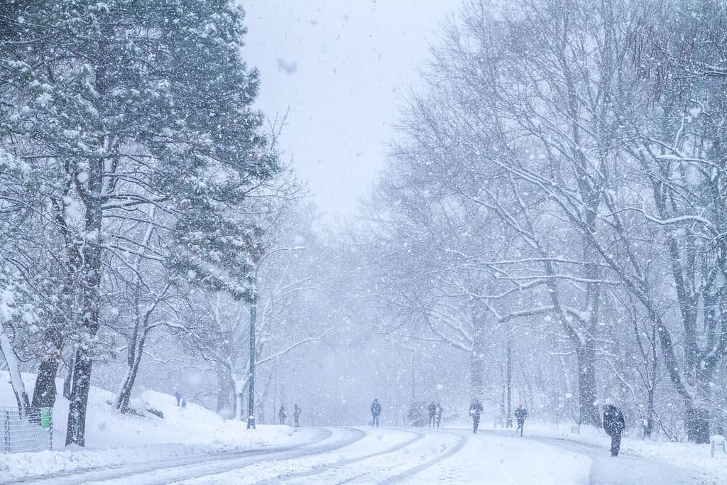 New York City Central Park Neve nella tempesta invernale