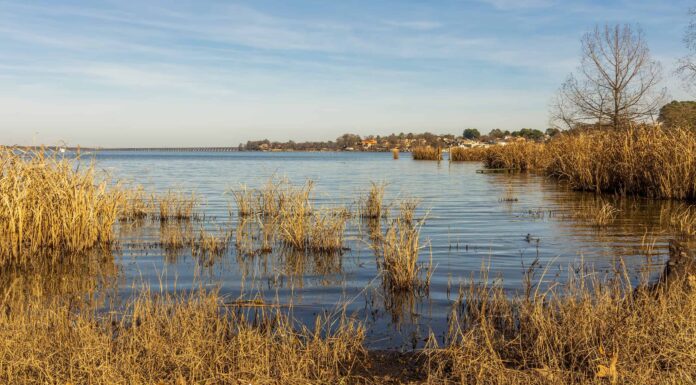Scopri il lago artificiale più antico della Louisiana
