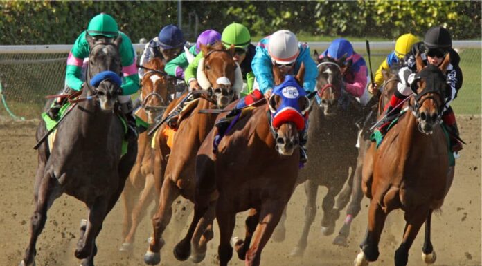 I 10 cavalli più veloci che abbiano mai gareggiato nel Kentucky Derby
