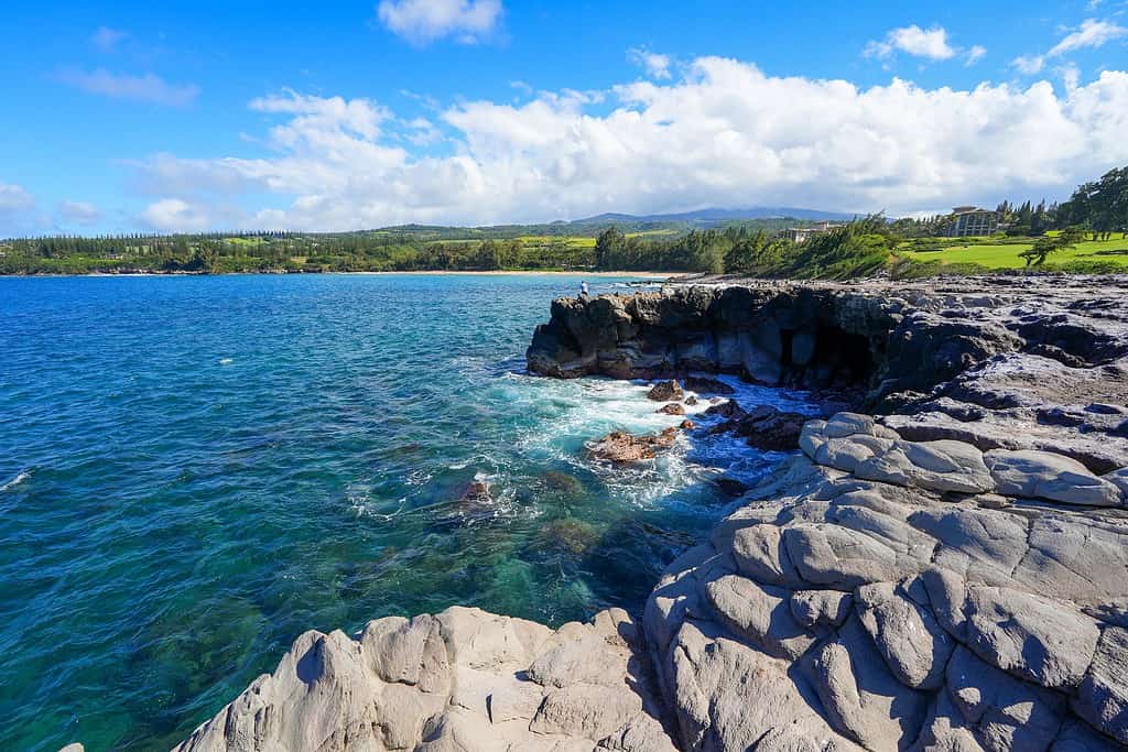 Sentiero costiero di Kapalua Maui