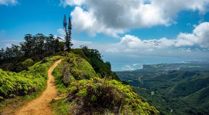 Le migliori escursioni in assoluto a Maui 
