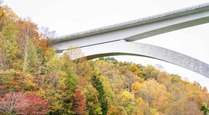 Scopri il ponte più lungo del Tennessee: un mostro di 1.572 piedi
