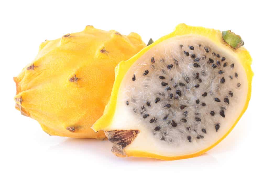 Pitahaya giallo (Hylocereus megalanthus) su sfondo bianco.  Un frutto intero è visibile dietro un frutto tagliato a metà.  La buccia del frutto è irregolare/strutturata e la polpa è bianca con semi neri. 