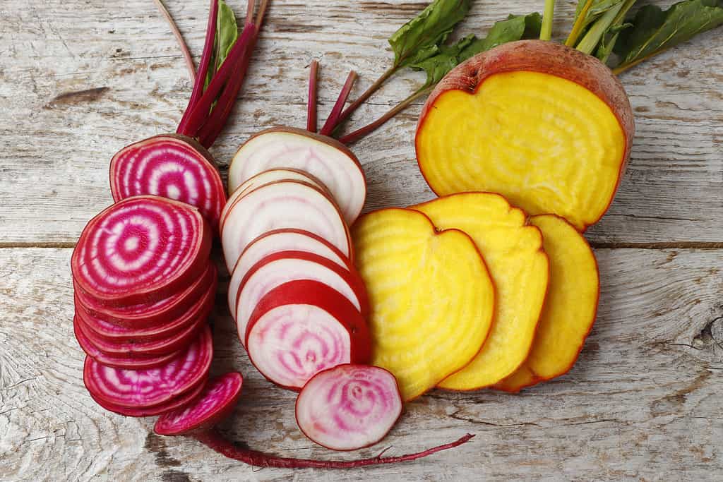 Barbabietola, tre diverse varietà.  Tagliare a fette.  LR: vortice rosso e bianco, varietà prevalentemente rossa, bianco con vortice rosso, varietà prevalentemente bianca, e barbabietola dorata.  I verdi di barbabietola sono nella parte superiore del telaio. 