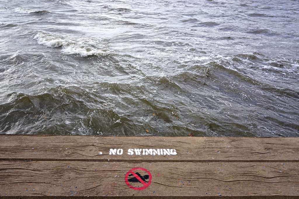 Nessun segno di nuoto, fiume Hudson, New York