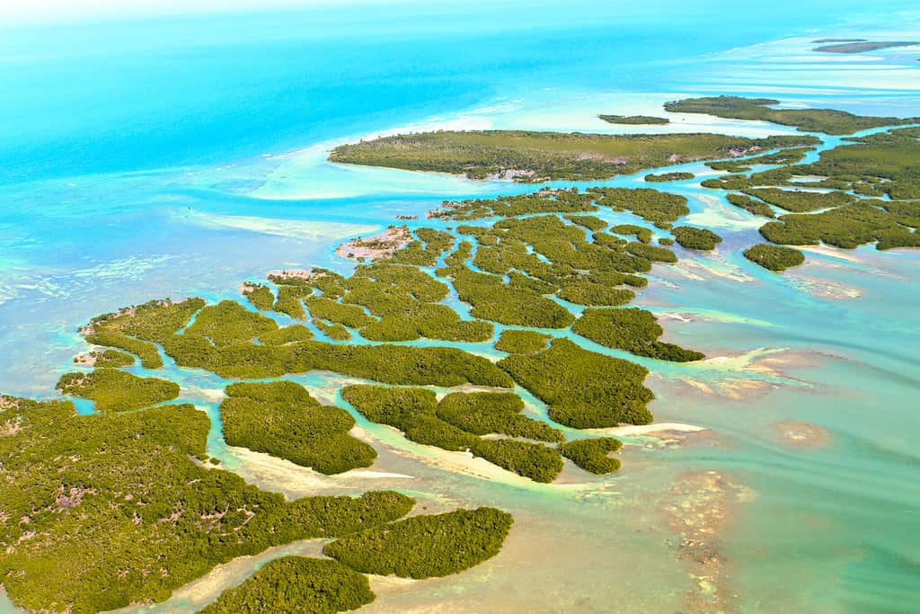Le Florida Keys sono isole basse che si trovano in acque poco profonde