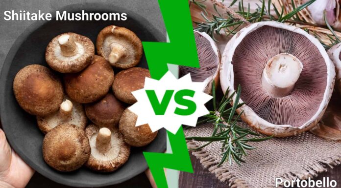 Funghi Shiitake contro Funghi Portobello

