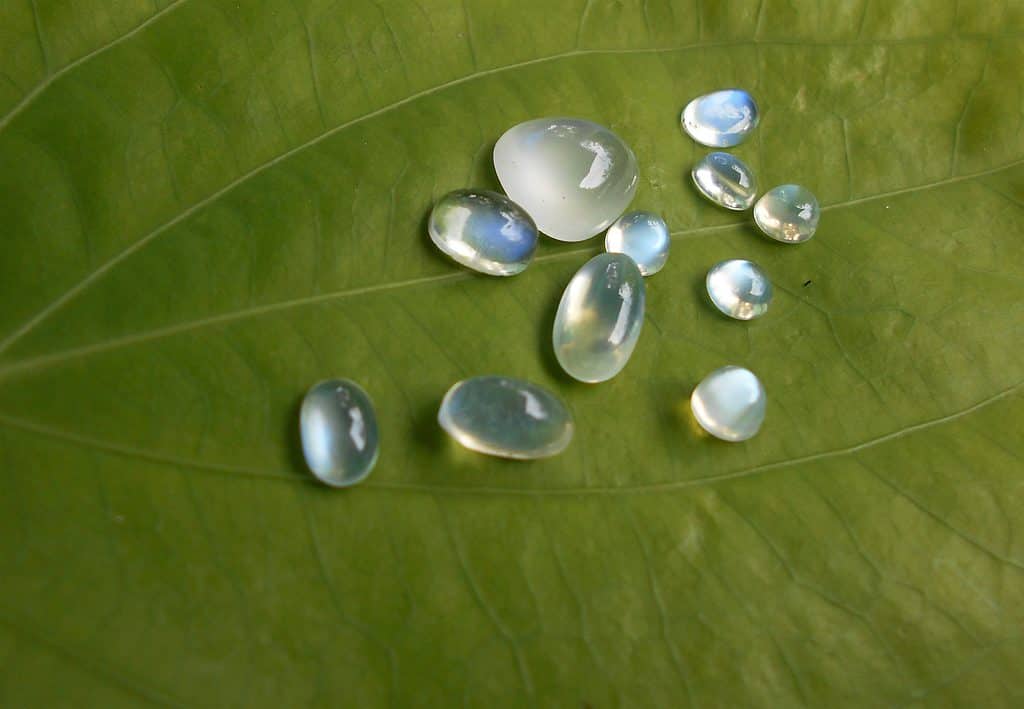 Le gemme Moonstone sono spesso di forma ovale con sfumature bluastre.