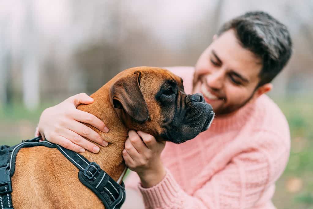 Boxer con il suo umano