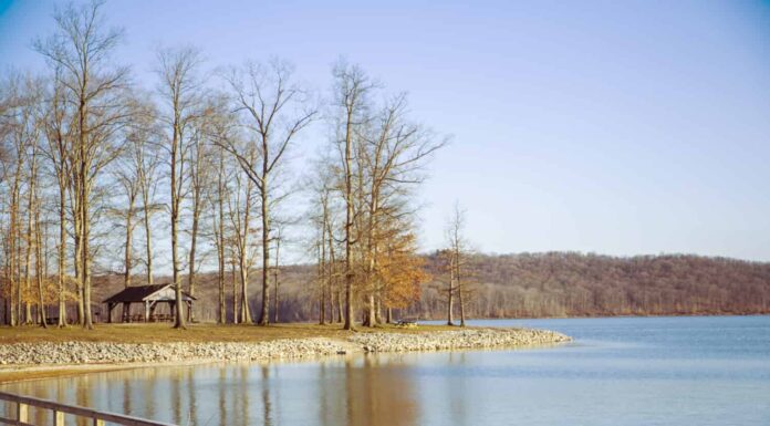 Budding Spring at Lake Monroe IN