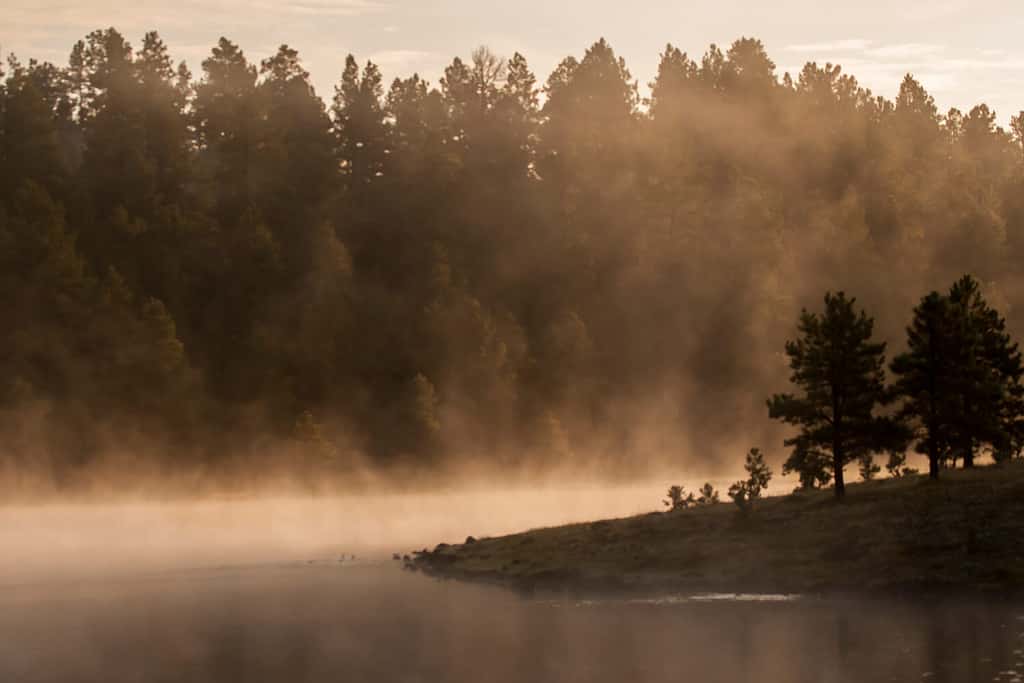 La mattina presto trova la nebbia che fornisce una vista mistica a Hawley Lake in Arizona