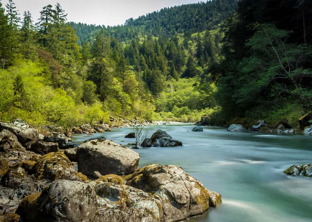 Fiume Smith, California settentrionale, Stati Uniti