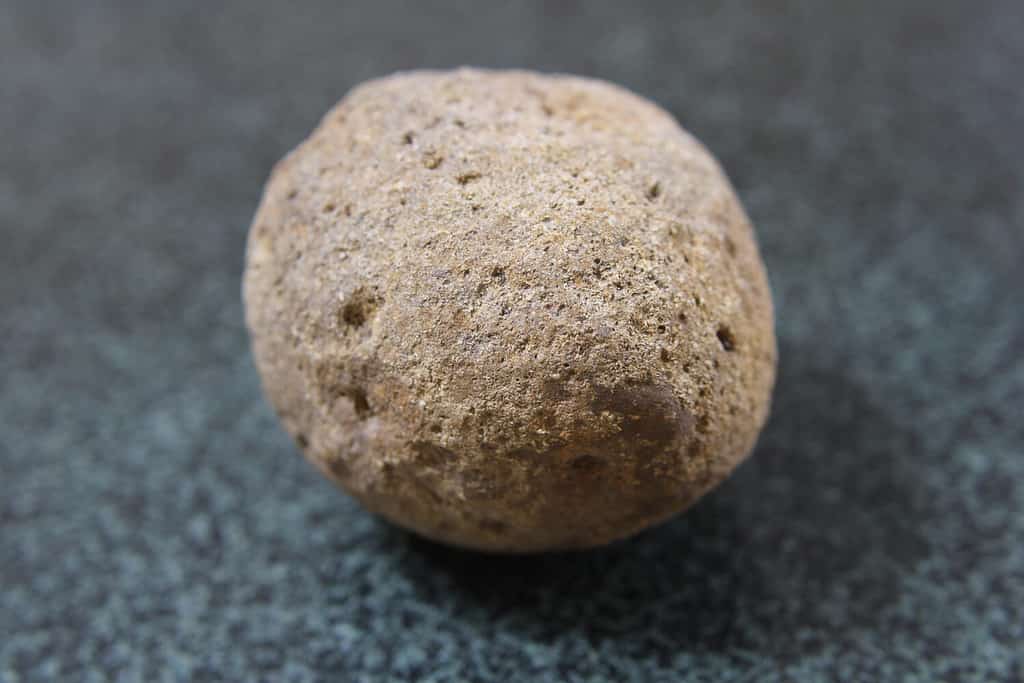 Questa pietra Weaubleau proviene da un sito di impatto di meteoriti nel Missouri