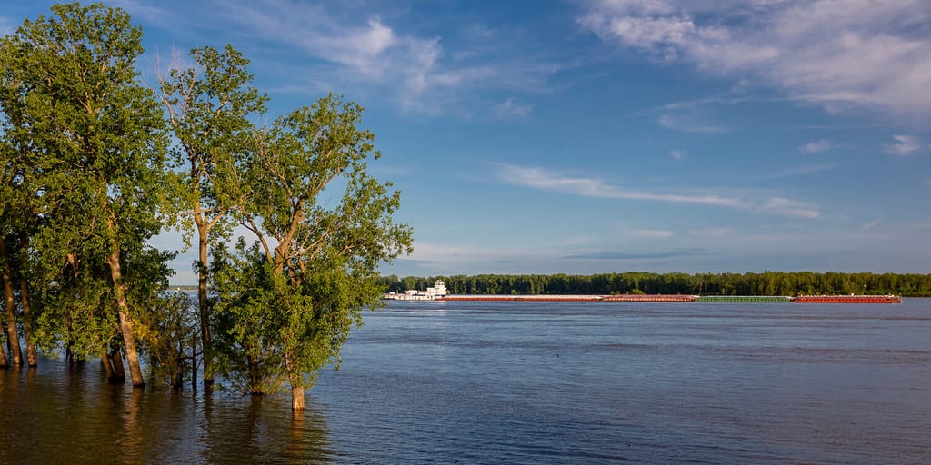 1 maggio 2019, NEW MADRID, MO., STATI UNITI D'AMERICA - Barge si dirige a nord fino al fiume Mississippi verso St. Louis come si vede da New Madrid, MO.