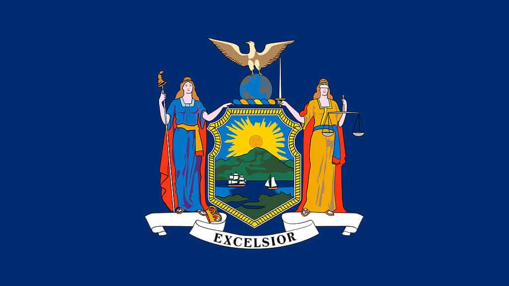 Bandiera dello Stato di New York