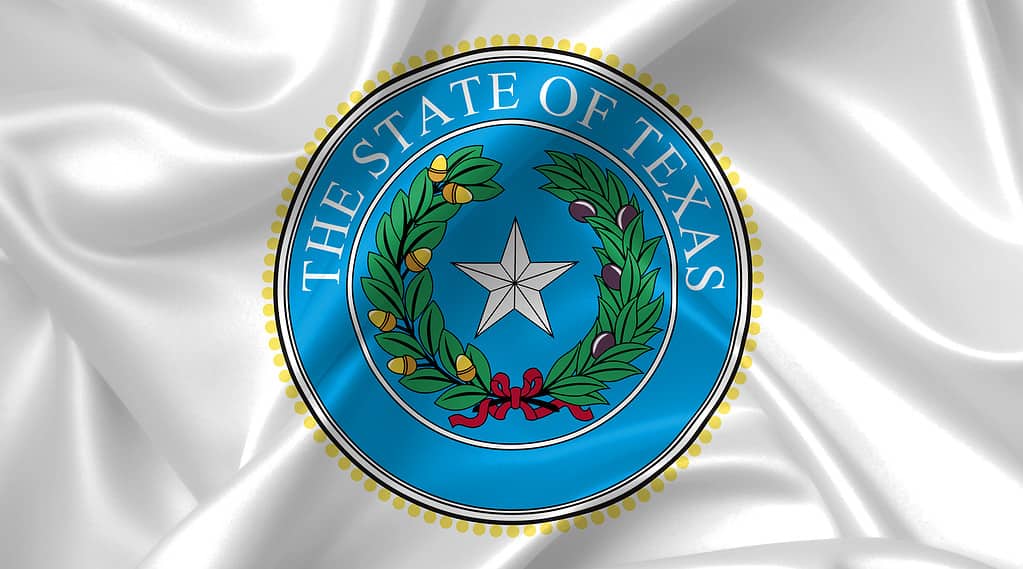 Il sigillo dello stato del Texas - su stoffa setosa