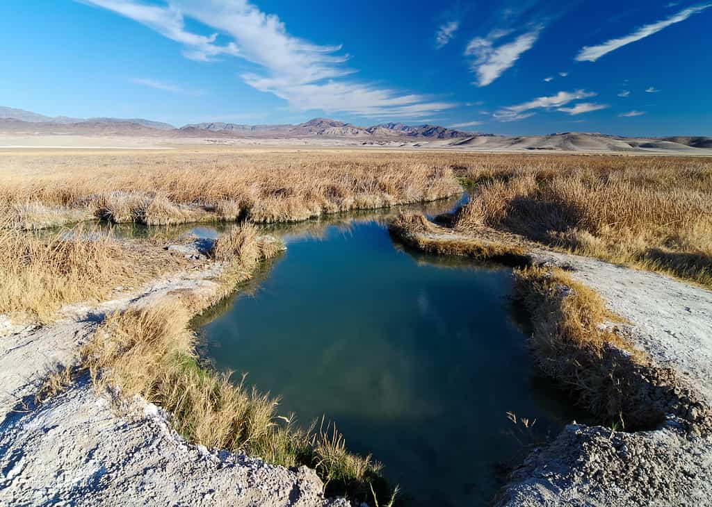 Terme di Tecopa