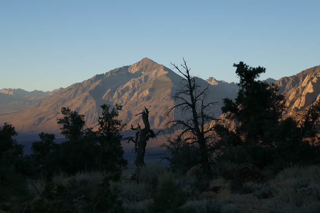 Montare Williamson nelle montagne della Sierra Nevada