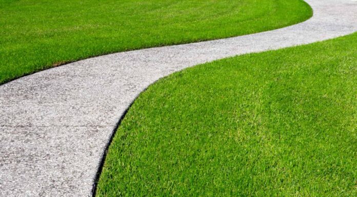 A thick carpet of zoysia grass and an oyster shell tabby pathway suggest the concept of a journey, or of a beautifully maintained garden.