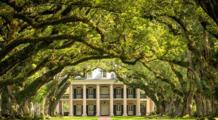 Piantagione di Oak Alley, Louisiana