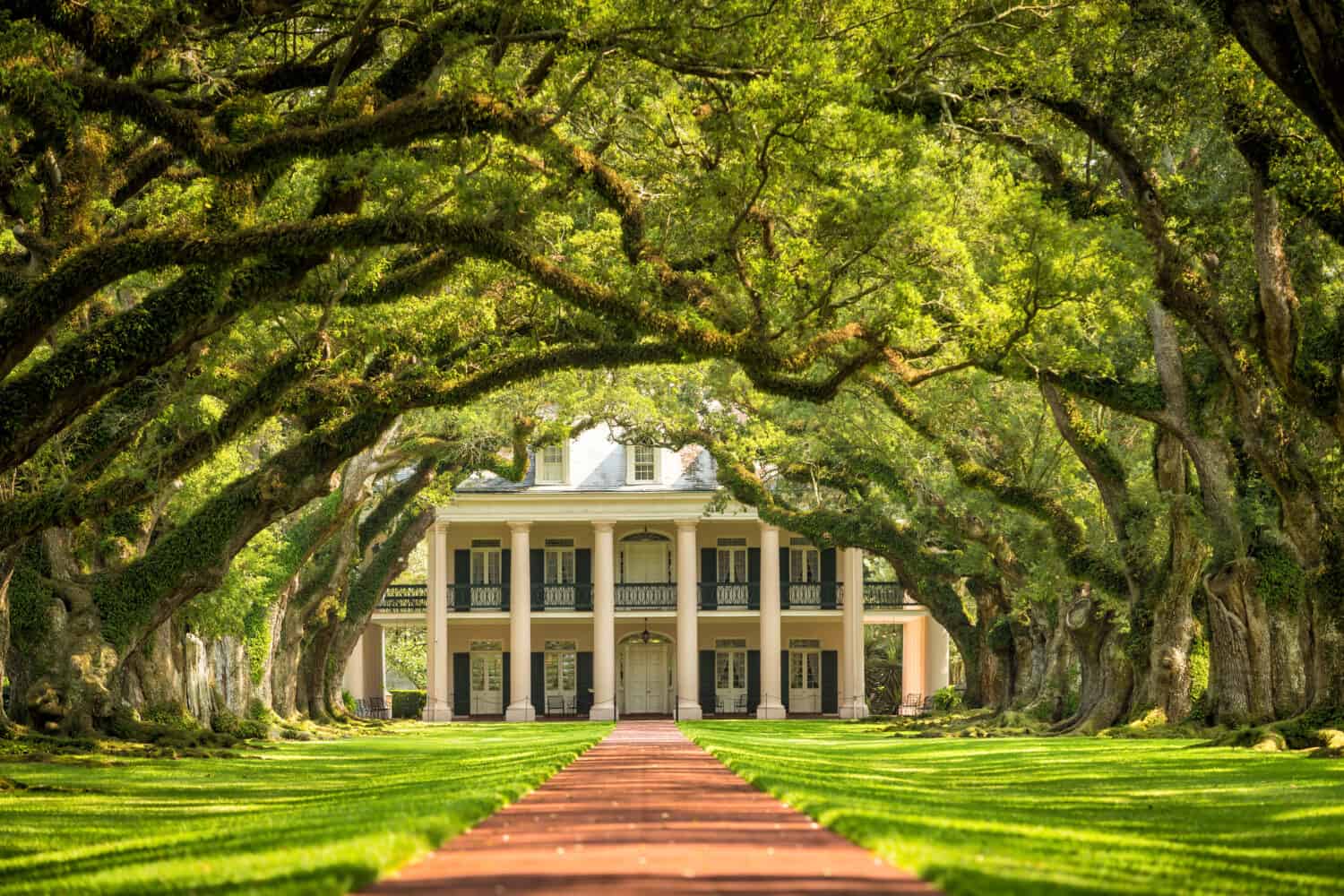 Piantagione di Oak Alley, Louisiana