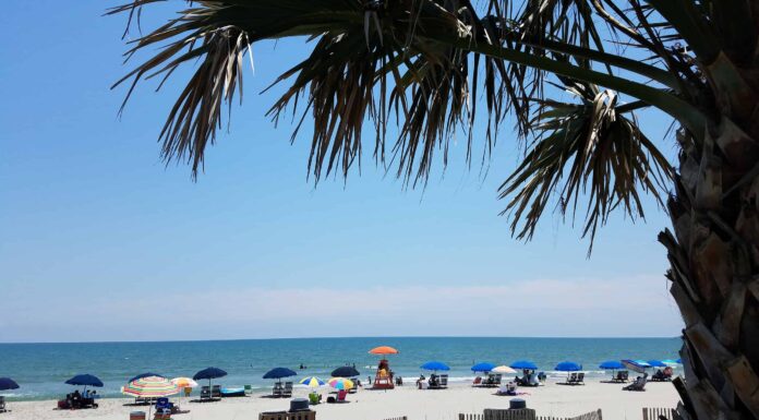 Le 10 migliori spiagge della Carolina del Sud
