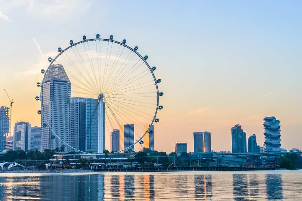 Il Singapore Flyer, una grande ruota panoramica di Singapore, è visibile contro un paesaggio urbano attraverso una distesa d'acqua.