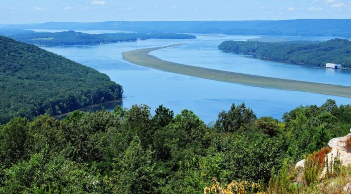 Cosa c'è nel fiume Tennessee ed è sicuro nuotare?
